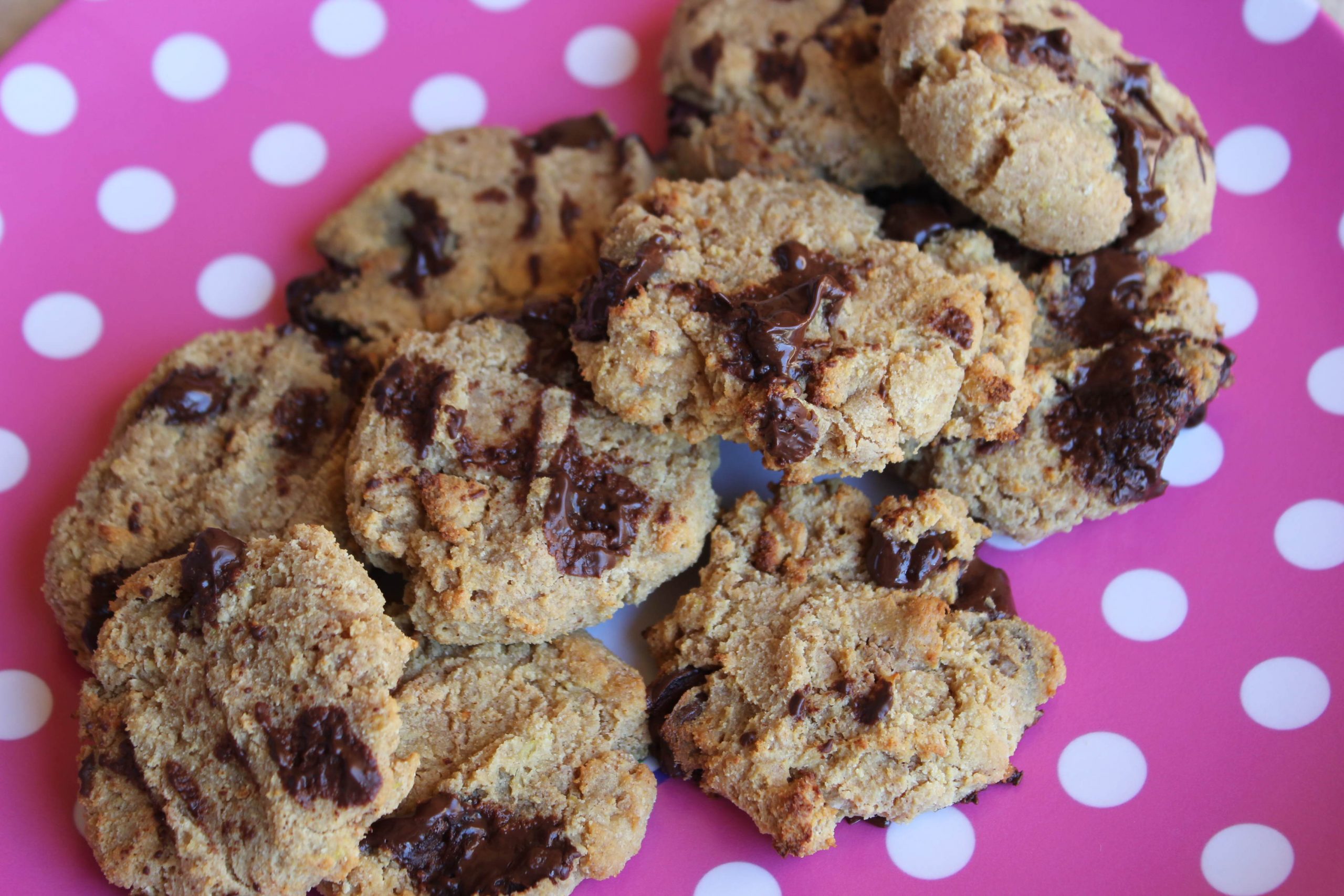 Paleo Chocolate Chip Protein Cookies